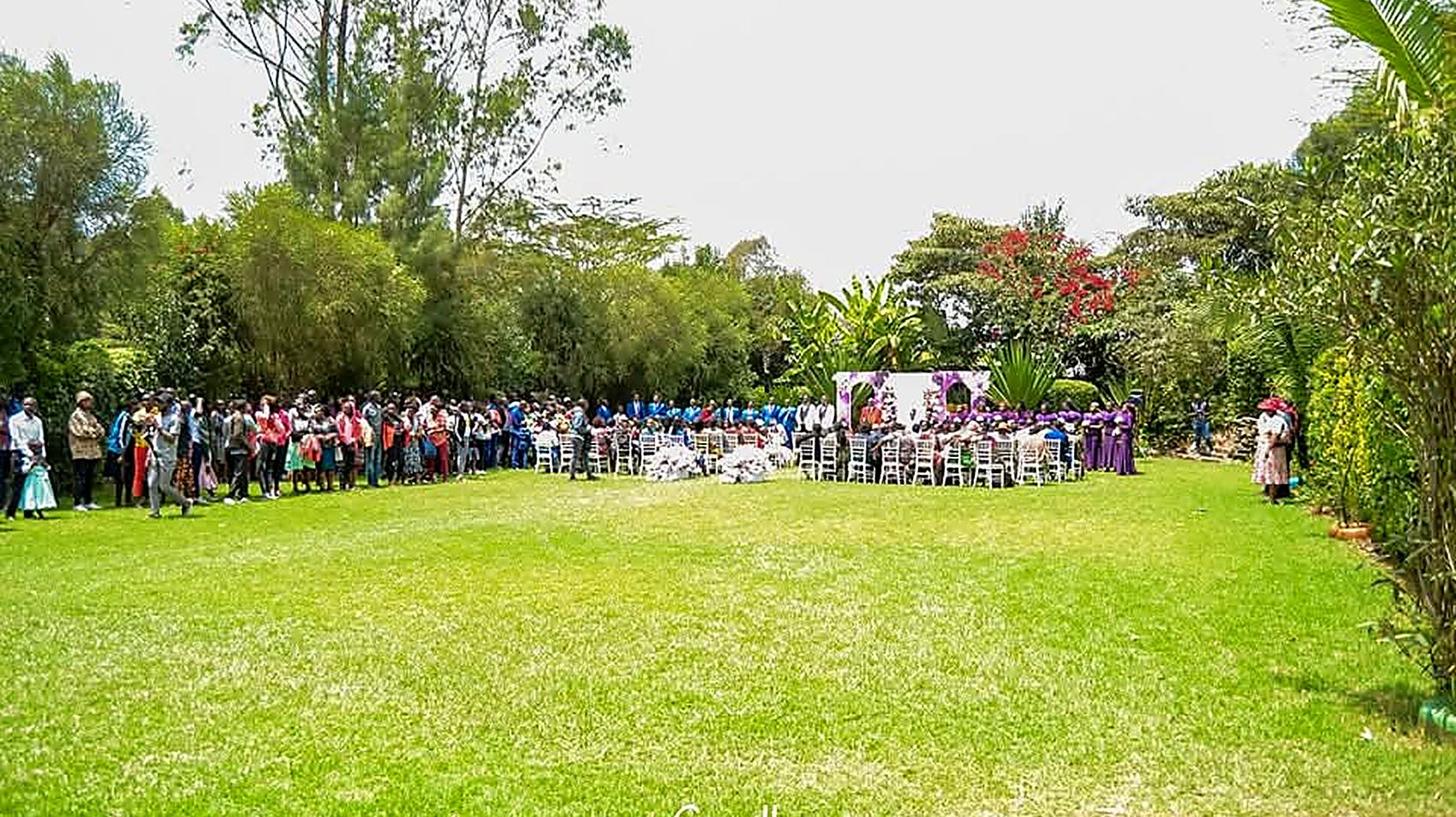 Several hundred guests seated in a wide arc across the main lawn at Camilla Gardens, framed by mature trees