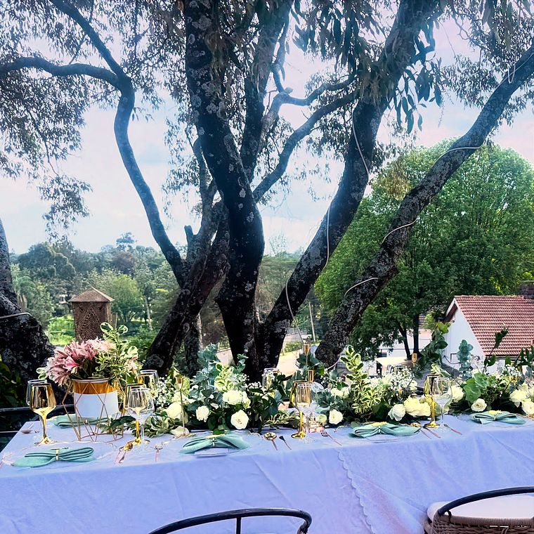 An outdoor dinner table beneath tall trees, set with white roses, eucalyptus garlands, gold-stemmed glasses and sage napkins