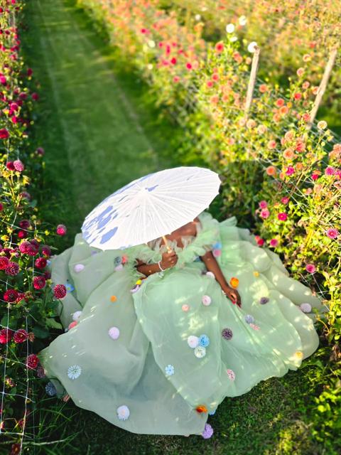 Overhead view of a mint tulle gown spread out between rows of flowers, face hidden by a parasol
